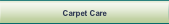Carpet Care.